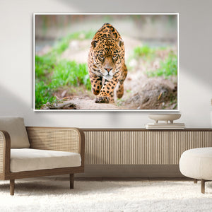 Leopard on the Prowl - Stunning Large Framed Leopard Wall
