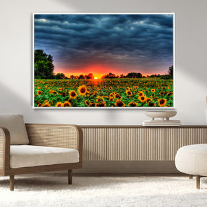 Golden Sunflower Field at Sunset – Breathtaking Sky and