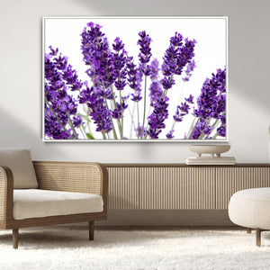 Lavender Flower Wall Art Canvas Print