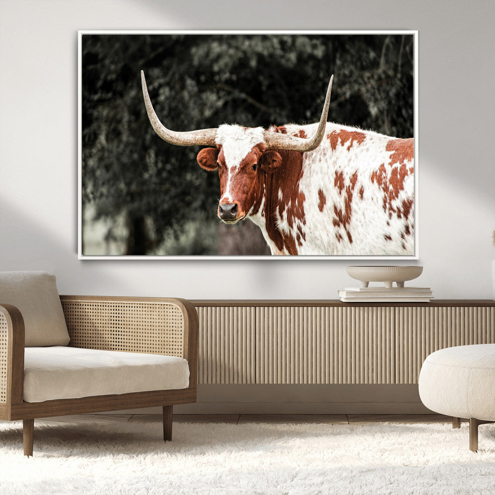 Texas Longhorn Wall Art Canvas Print – Framed Spotted Bull