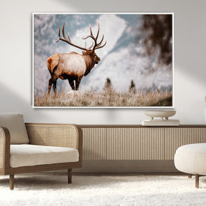 Elk Photography Wall Art Canvas Print – Framed Mountain