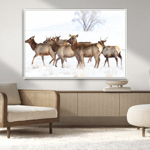 Winter Elk Scene Wall Art Canvas Print – Framed Wildlife