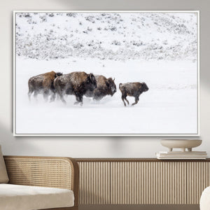 Bison Herd Decor Wall Art Canvas Print – Framed Snowy Bison