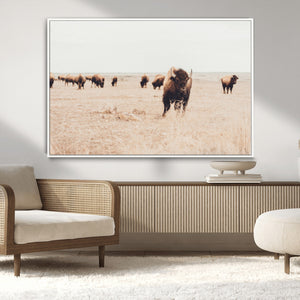 Bison Herd Wall Art Canvas Print, Framed Western Landscape