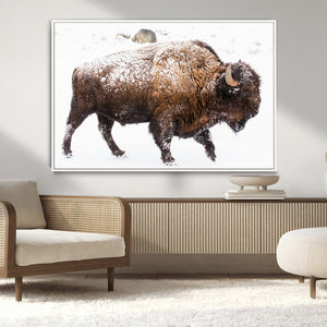 Snowy Buffalo Wall Art Canvas Print – Framed Wildlife