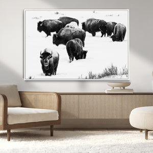 Buffalo Herd Wall Art Canvas Print – Framed Black and White