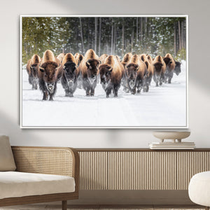American Bison Herd Wall Art Canvas Print – Powerful Winter