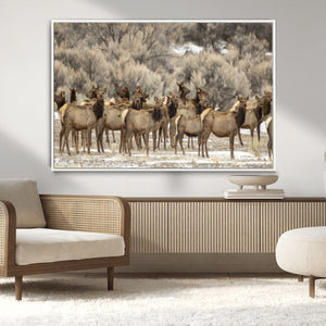 Majestic Elk Herd Winter Canvas, Elk Herd Winter Landscape