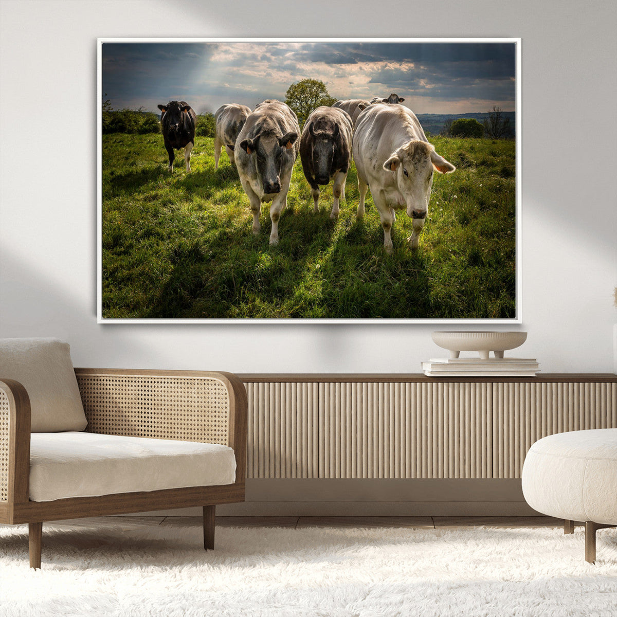 Grazing Cattle Herd Pasture Green Field Livestock Natural