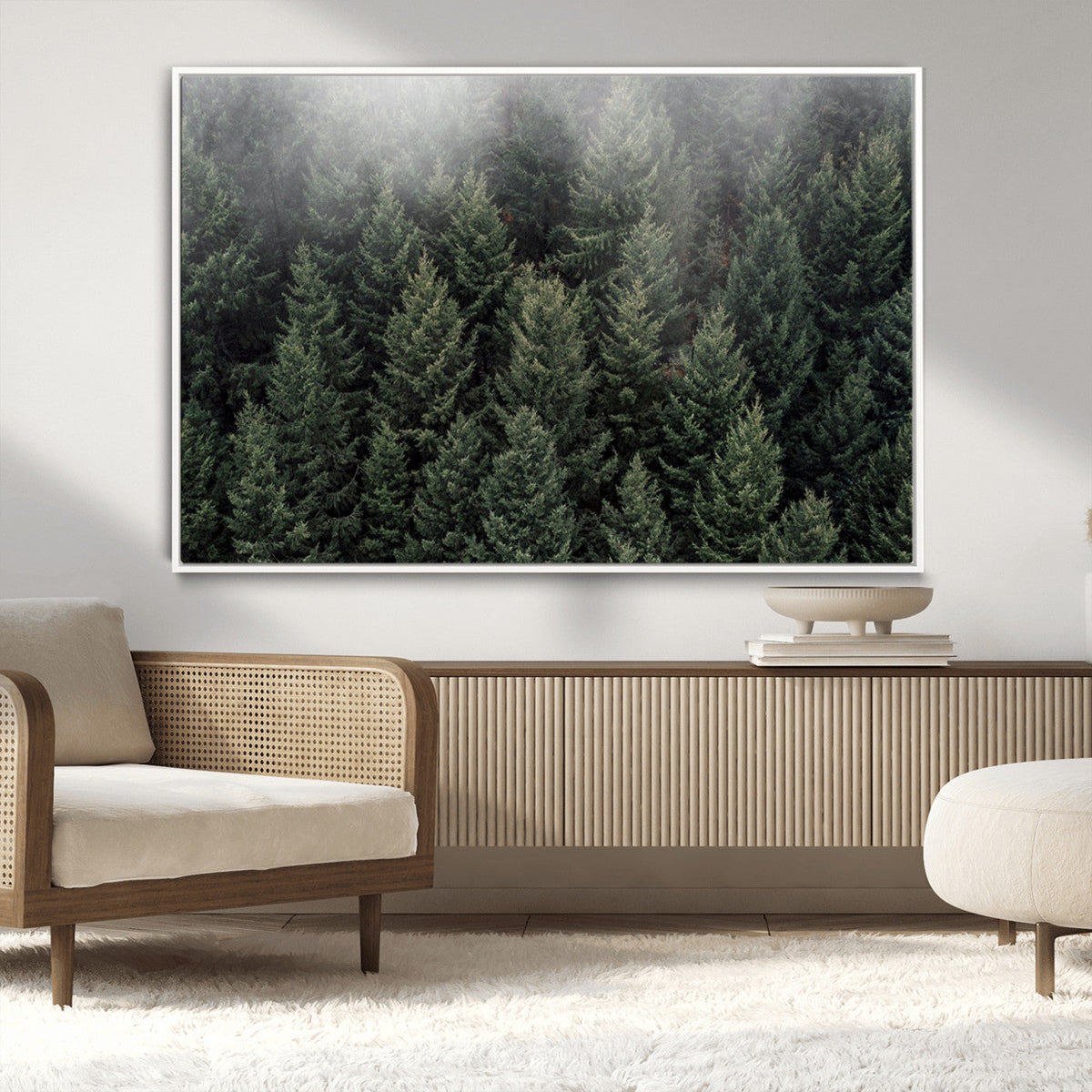 Dense Evergreen Forest Misty Morning Fog Pine Trees Woodland