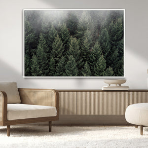 Dense Evergreen Forest Misty Morning Fog Pine Trees Woodland