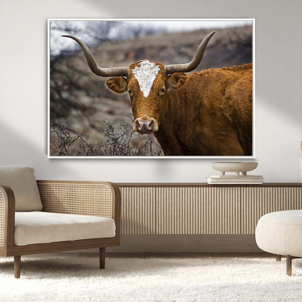 Texas Longhorn Canvas Wall Art - Longhorn Steer Canvas Wall