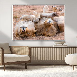 Lion Pair Wall Art Canvas Print – Framed Wildlife Scene with
