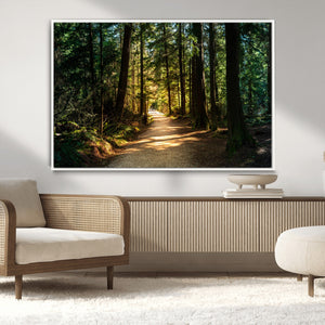 Sunlit Forest Pathway Canvas Print | 3 Panel Large Nature