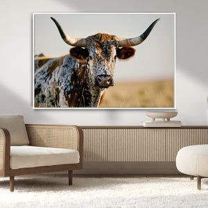 Texas Bull Longhorn Wall Art Canvas Print for Farm House