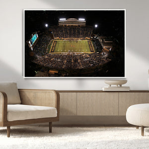 Wake Forest University Demon Deacons Canvas Printi, Football