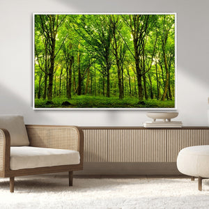 Lush Green Forest Canvas Print | 3-Panel Forest Wall Art |
