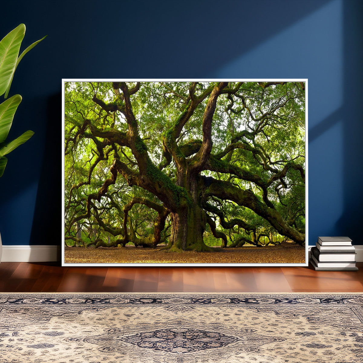 Angel Oak Tree Wall Art Canvas Print | Forest Tree Nature