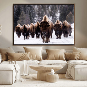 Bison Wall Art Canvas Print- Bison Herd Canvas Wall Art –