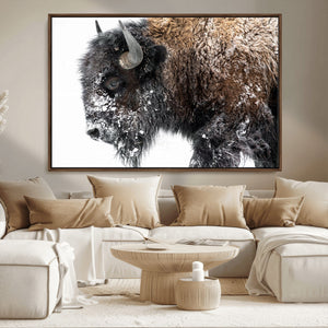 American Bison Wall Art Print – Majestic Buffalo Canvas