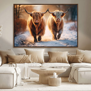 Scottish Highland Cow Horn Farm Wall Art Canvas Print