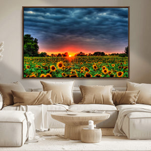 Golden Sunflower Field at Sunset – Breathtaking Sky and