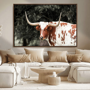 Texas Longhorn Wall Art Canvas Print – Framed Spotted Bull