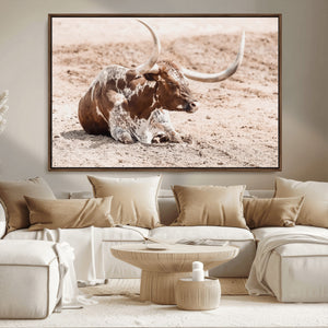Texas Longhorn Wall Art Canvas Print – Framed Resting Bull