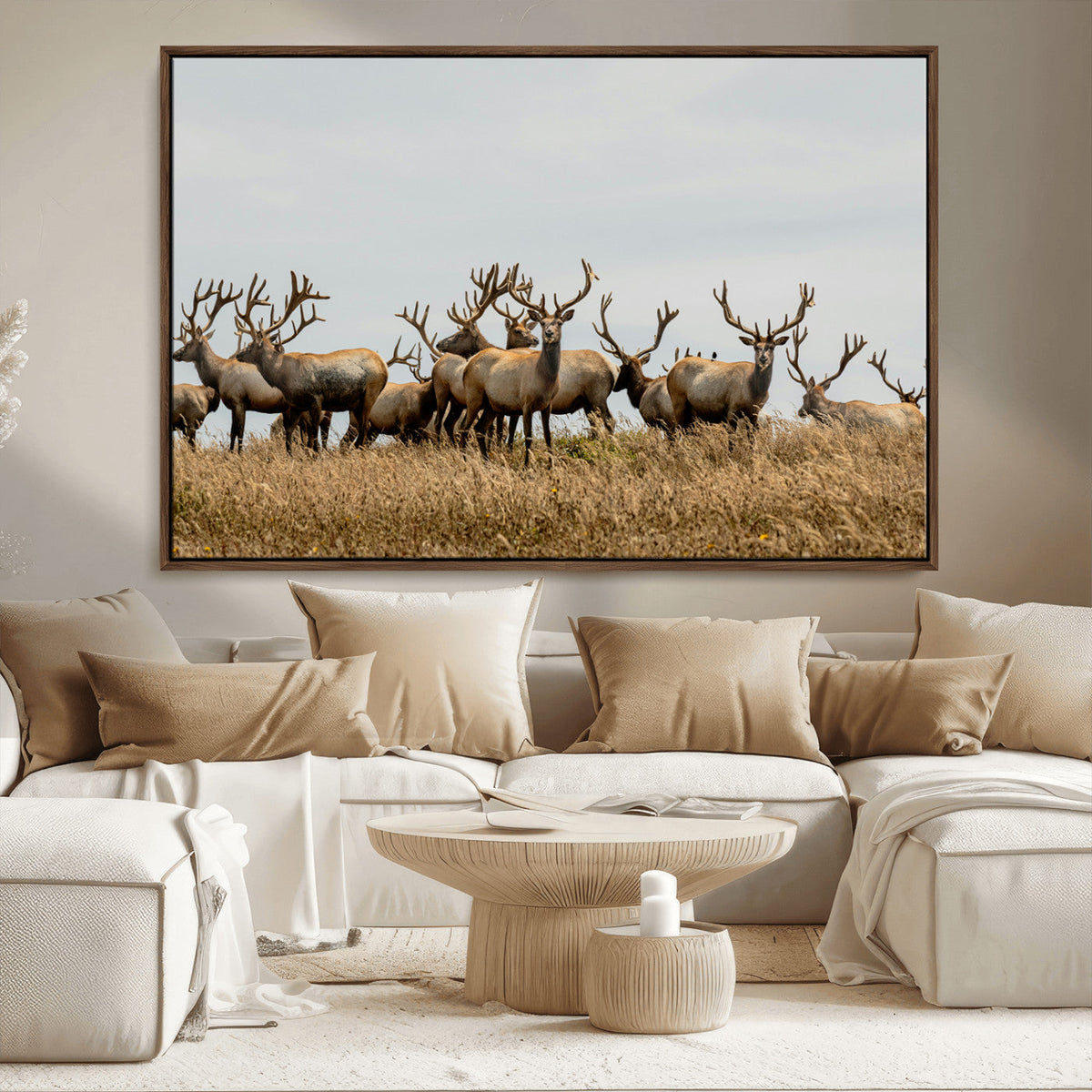 Elk Herd Wall Art Canvas Print – Framed Wildlife Photography