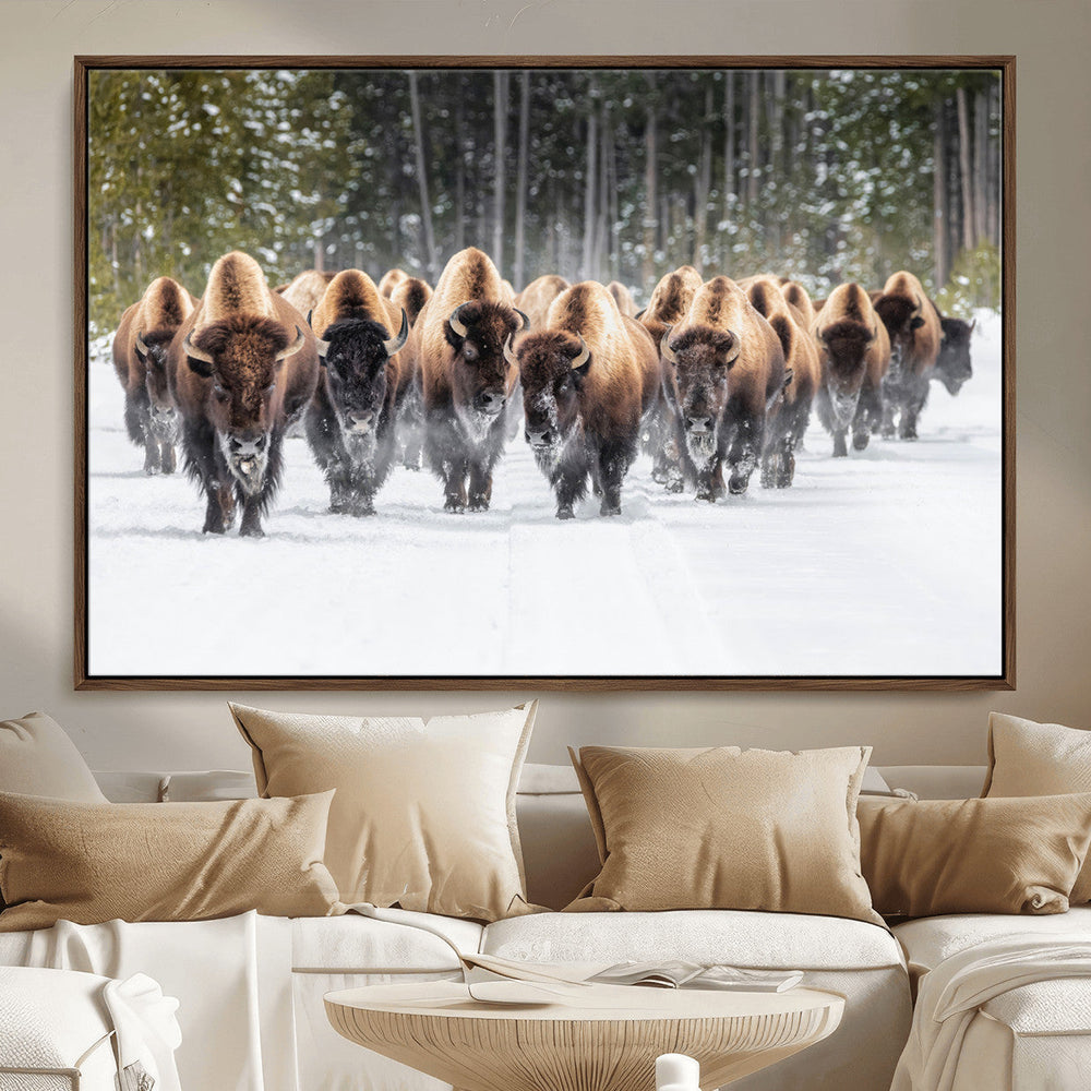 American Bison Herd Wall Art Canvas Print – Powerful Winter