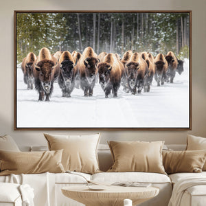 American Bison Herd Wall Art Canvas Print – Powerful Winter