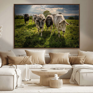 Grazing Cattle Herd Pasture Green Field Livestock Natural