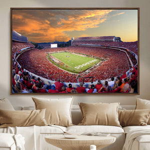 Dooley Stadium Wall Art, Sports Arena Canvas Print, Dooley