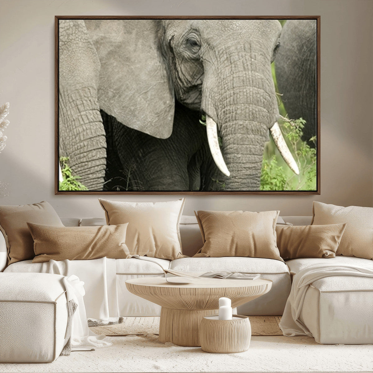 Wild Elephant Wall Art Canvas Print