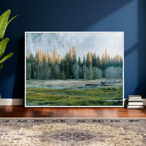 Forest Meadow Wall Art Canvas Print, Pine Tree Landscape