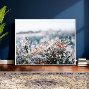Frosted Fern Wall Art Canvas Print, Soft Winter Botanical