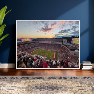 Donald W. Reynolds Razorback Stadium Wall Art Canvas Print –