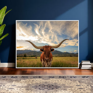 Texas Longhorn Canvas Wall Art – Majestic Triptych Animal