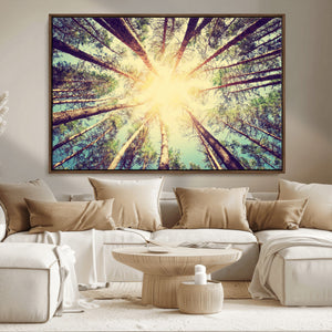 Tree and Sunshine Canvas Print