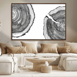 Abstract Large Tree Rings – Minimalist Black and White Wood