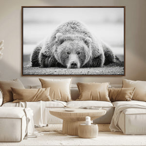 Resting Grizzly Bear Wall Art Canvas Print – Majestic Lazy