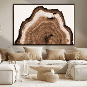 Rustic Wood Rings Wall Art | Nature-Inspired Tree Ring