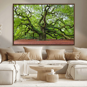 Framed Angel Oak Tree Wall Art - 3-Panel Canvas Prints,