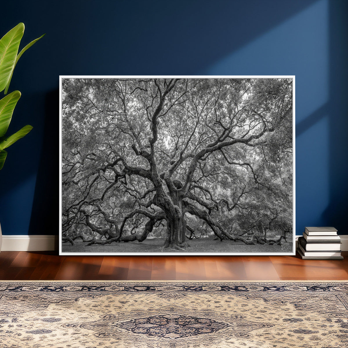 Majestic Angel Oak Tree Black and White Canvas Print – Multi