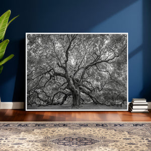 Majestic Angel Oak Tree Black and White Canvas Print – Multi