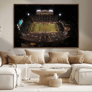 Wake Forest University Demon Deacons Canvas Printi, Football