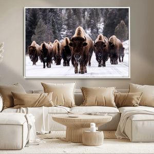 Bison Wall Art Canvas Print- Bison Herd Canvas Wall Art –