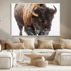 Bison Wall Art Canvas Print For Farmhouse, Wild Animal Wall