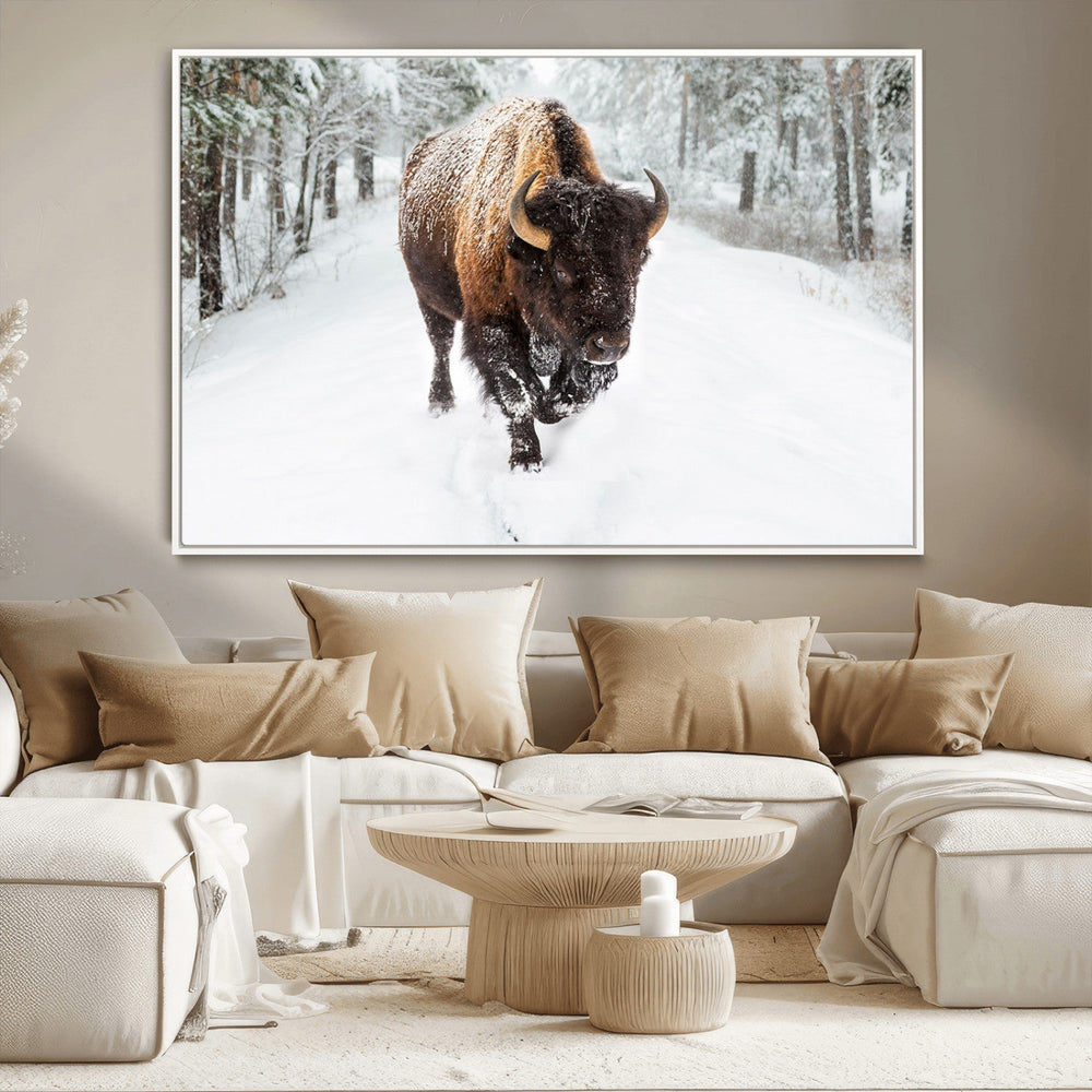 Bison Wall Art Canvas Print For Farmhouse, Animal Canvas