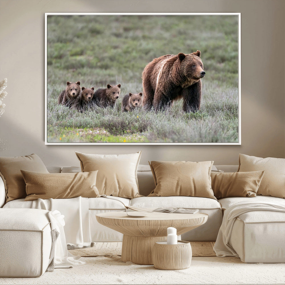 Wildlife Photography of 399 Grizzly Bear Cubs | Queen of the